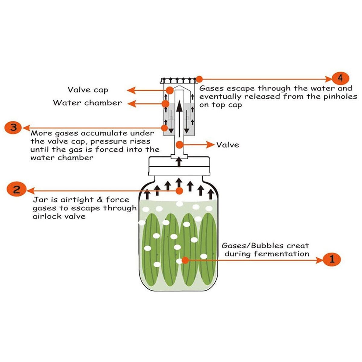 Wine Beer Cider - Набор из 4 ферментационных крышек и